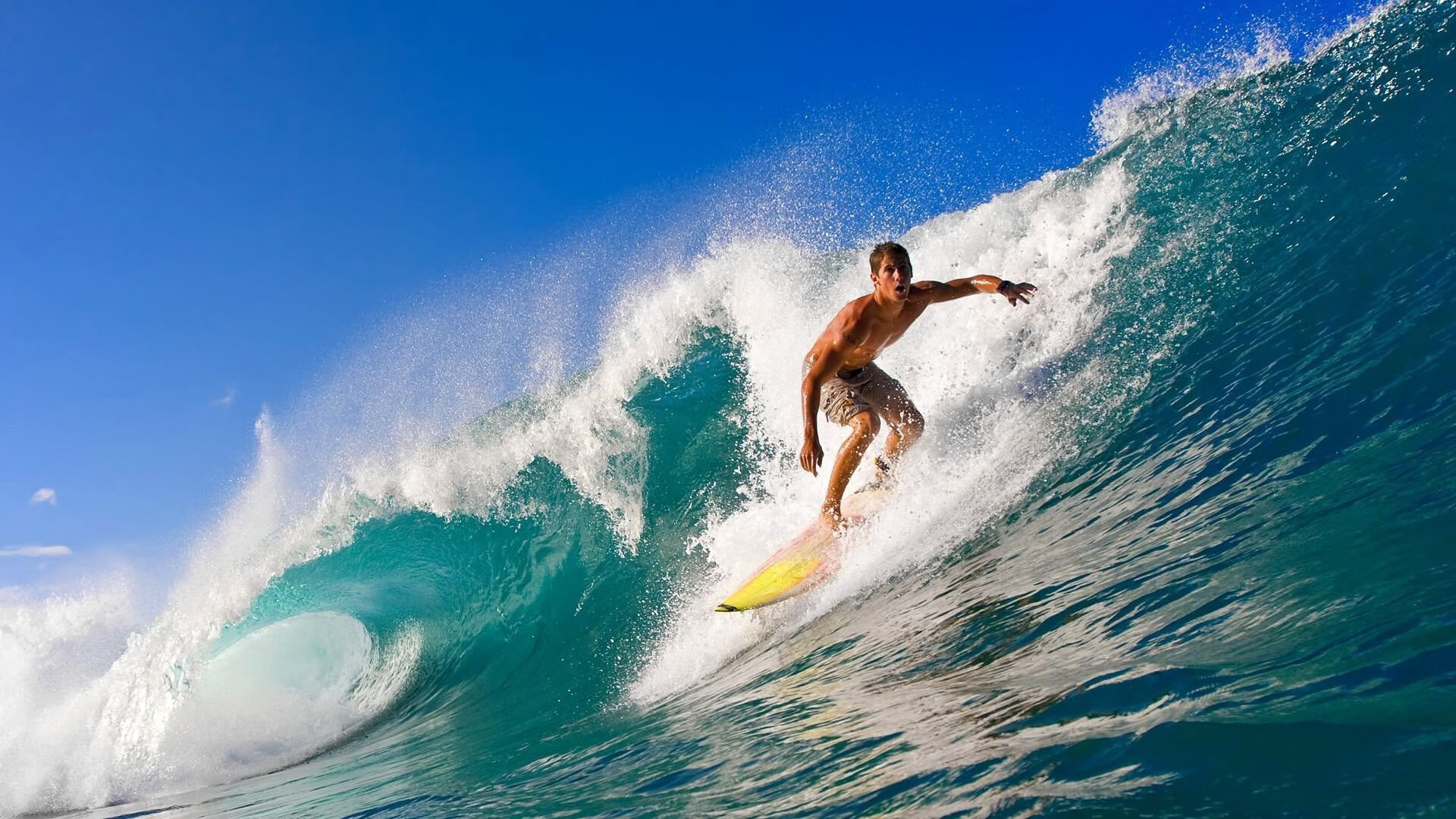 全国体校田径赛小将摘得四金，田径体育学校